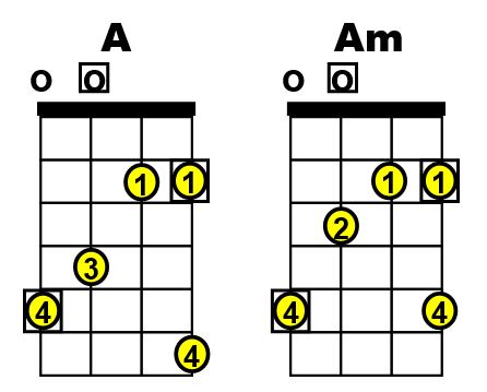 Bass Guitar Chords, Basic Information for Beginner Bass Players