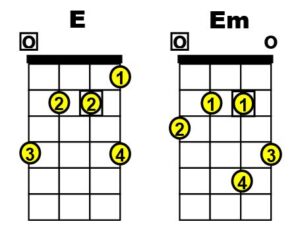 Bass Guitar Chords, Basic Information for Beginner Bass Players